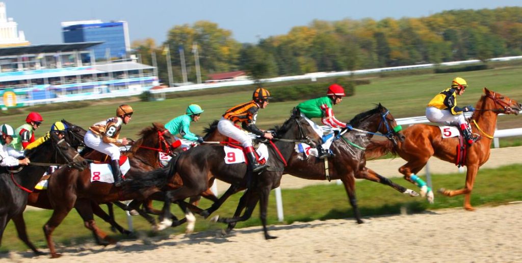 Horse Racing