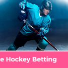 INDIBET Ice Hockey Betting