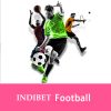 INDIBET Role in Sports Sponsorship and Partnerships